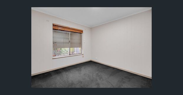 Hi, I'm Cute and Cosy... - Photo 1