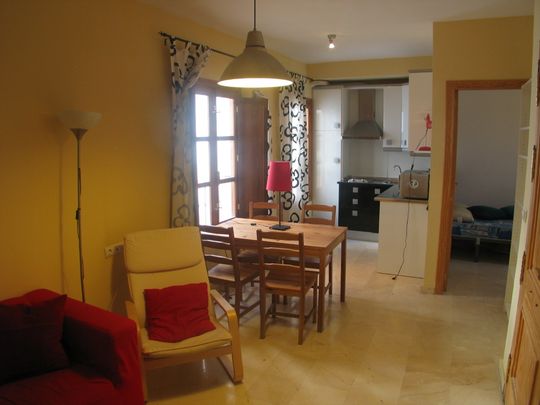 Apartment - Granada (San Antón) - Photo 1