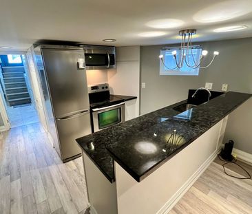 For Lease - 77 Elmer Avenue Unit# basement, Toronto, Ontario - Photo 6