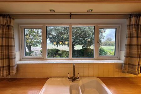 Brandon, Sedge fen - Photo 5