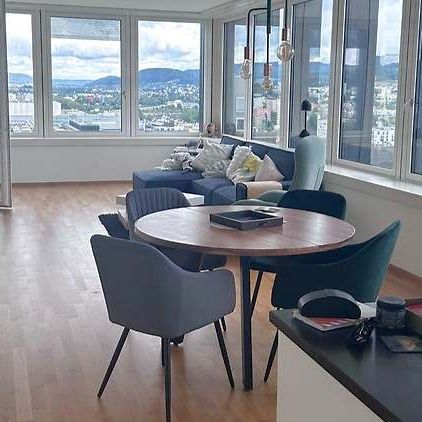 3.5 Zimmer, 106 m², 16. Stock - Photo 1