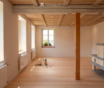 Neue moderne 2.5 Zi. Wohnung mit Charme in Bauernhaus im EG - Foto 3
