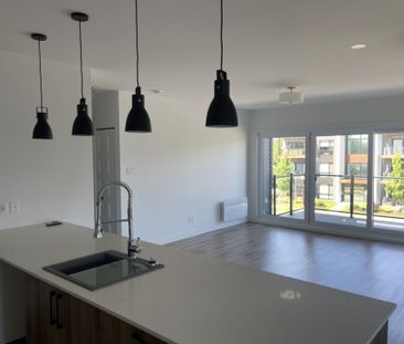 Appartement 2 Chambres 1 Salle De Bain - Photo 1