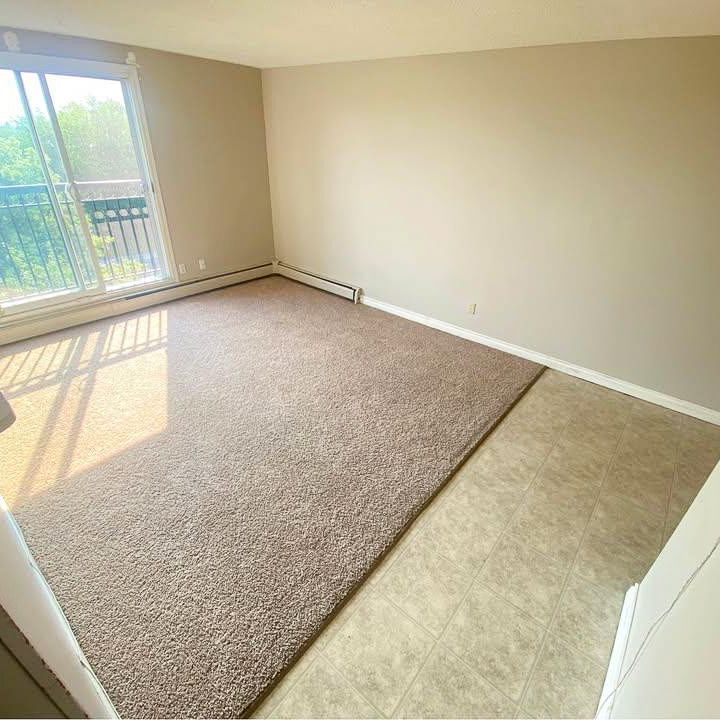 1 Bed Apartment | West Edmonton | Electricity & Water Included - Photo 1