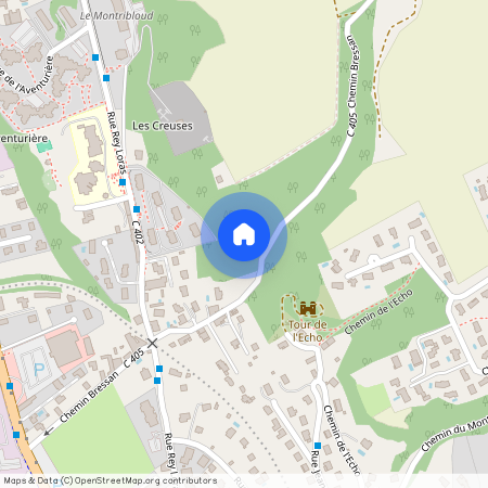 69250, Neuville-Sur-Saône