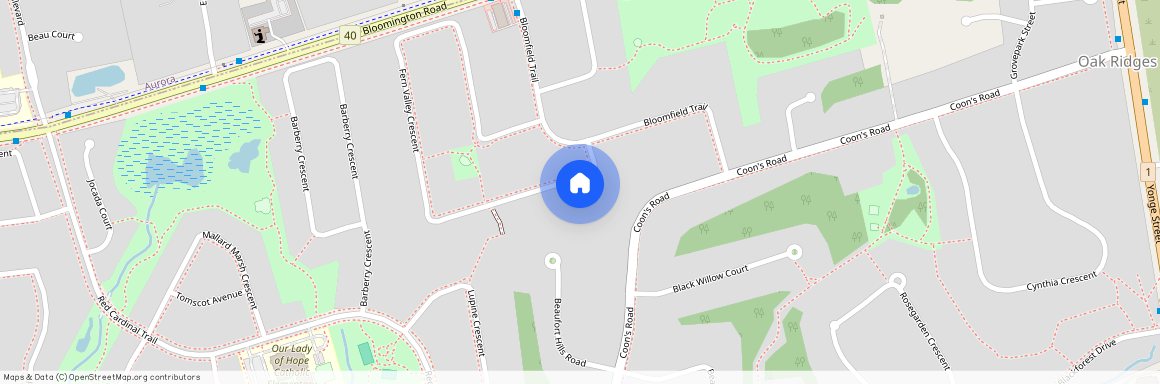 119 Fern Valley Crescent, Richmond Hill