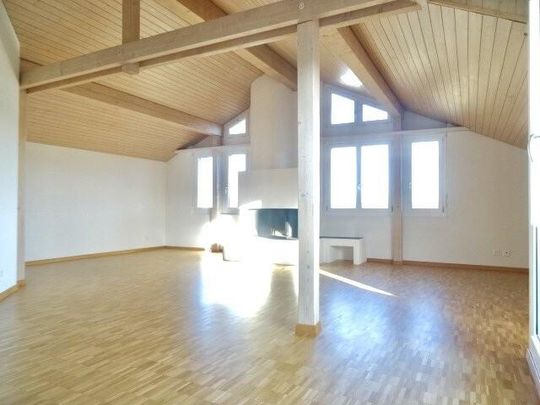 Moderne 4.5-ZW à 119m2 im DG mit Terrasse - Photo 1