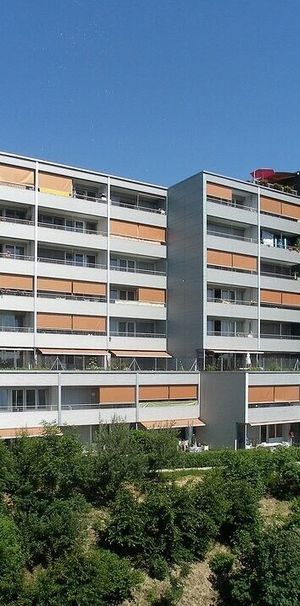 Cherchez-vous un lodging proche du Chuv et de l’autoroute ? - Foto 1