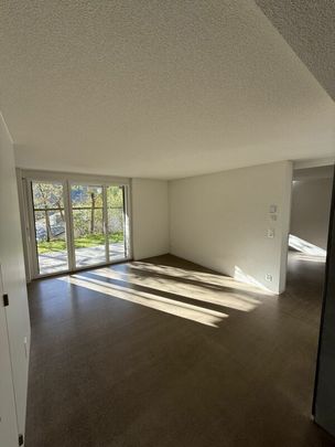 Moderne 2-Zi-Wohnung nahe der Stadt Luzern mit Gartensitzplatz - Photo 1