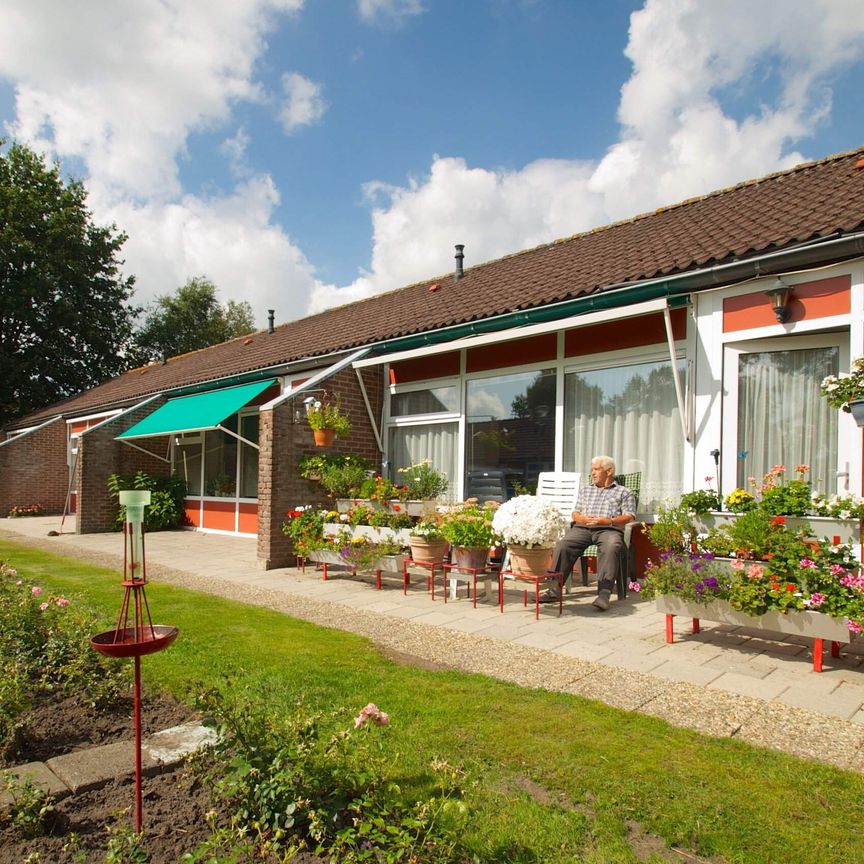 Appartement pour personnes âgées Rozenhof, Roden - À louer - Photo 1