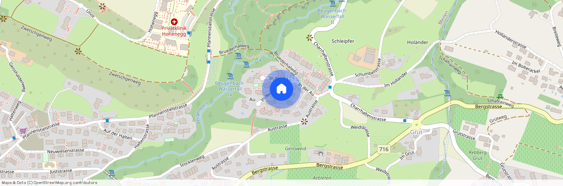 8706, Meilen, In Der Au, 49