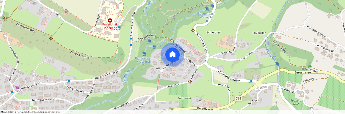 In der Au 42, 8706 Meilen