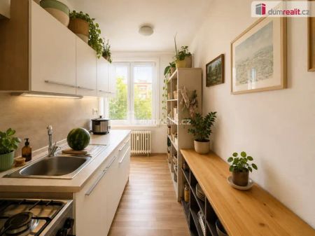 Krásné rodinné bydlení 3+1 s balkonem přímo u parku na Severní Terase - Photo 4