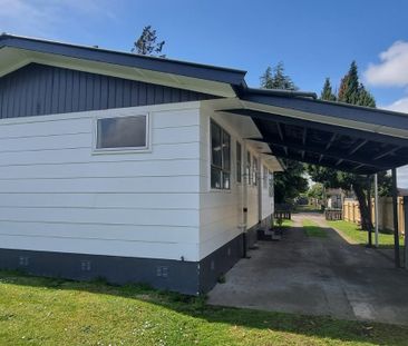 45 Collie Drive, Pukehangi - Photo 3