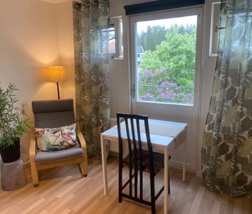 Gotlandsresan, Uppsala - Foto 3