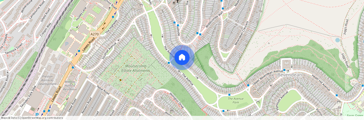 The Avenue, 51, BN2 4GG, Brighton