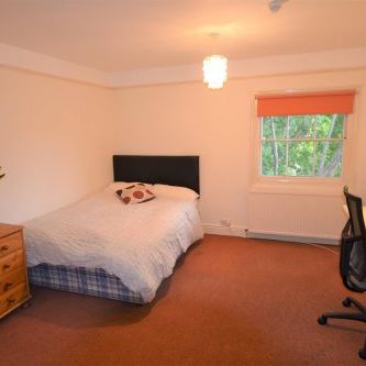 Single room to rent on Norwich Road - Photo 3