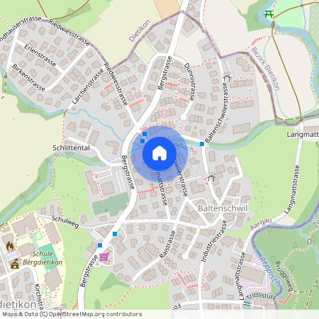 Baltenschwilerstrasse 61, 8962 Bergdietikon