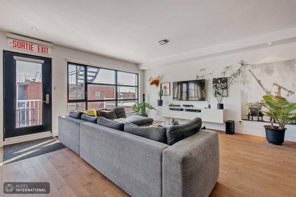 Condo for rent in Rosemont-La Petite-Patrie | Spacious and furnished - Photo 1