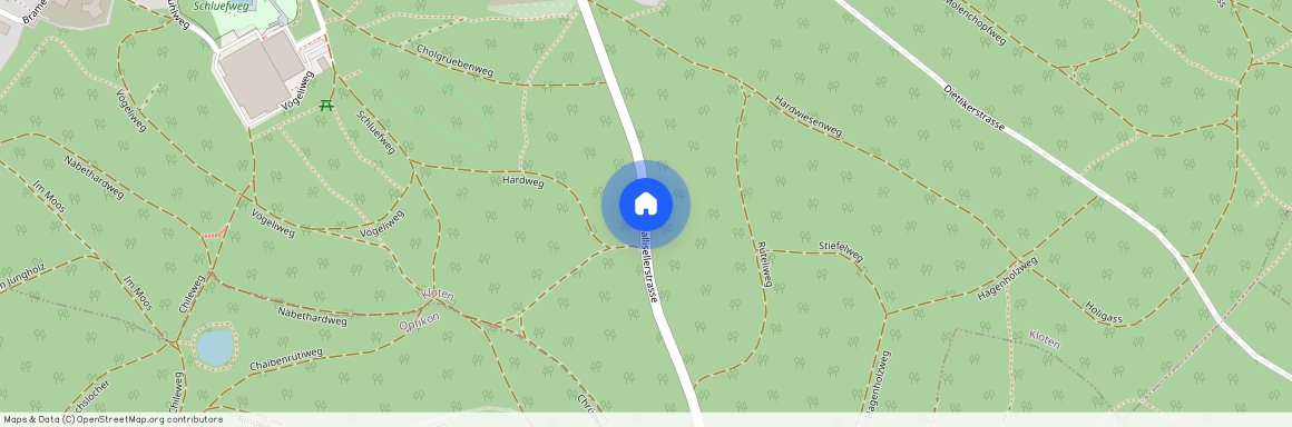 Wallisellerstrasse 8, 8302, Kloten