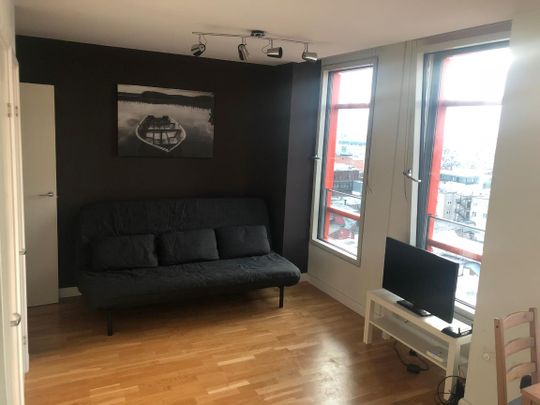 1 Bed Flat, Matilda Apartments, WC2H - Photo 1