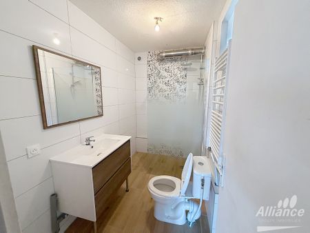 Location Appartement 3 pièces 55m² BELFORT 90000 - Photo 5