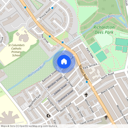 (COPY of) Victoria Avenue, Wallsend, NE28