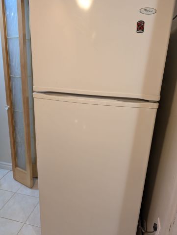 For Lease - 155 Mammoth Hall Trail Unit# Bsmt, Toronto, Ontario - Photo 3