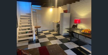 Charming 1 Bedroom Duplex in Botanical Garden Precinct - Photo 2