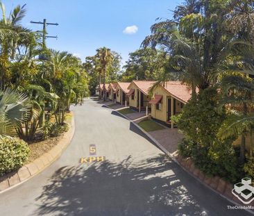 Gold Coast Short Term Rental Accommodation, Cactus Cabana, Min 4 We... - Photo 5