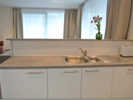 IXELLES : APPARTEMENTS MEUBLES 2 CHAMBRES + TERRASSE - Bruxelles 1 - Foto 5