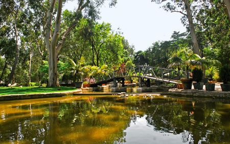 Moradia de Luxo T5 com Vista Mar na Gandarinha - Arquitetura Contemporânea Exclusiva - Photo 4