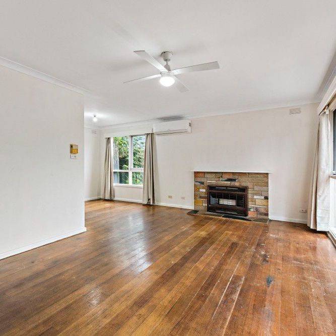 Prime Location! - Photo 1