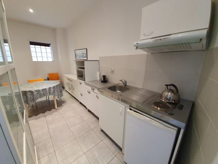 Location Appartement 1 pièce 19m² ST SYMPHORIEN D OZON 69360 - Photo 4