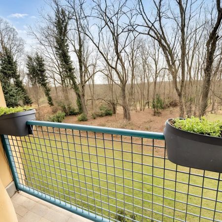 Location Appartement 3 pièces 50m² ST GERMAIN LES ARPAJON 91180 - Photo 4