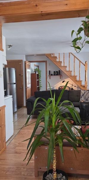 Grand 4 1/2 disponible le 15 avril - Photo 1