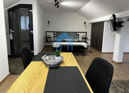 Apartament 1 camera, Dambul Rotund - Fotografie 4