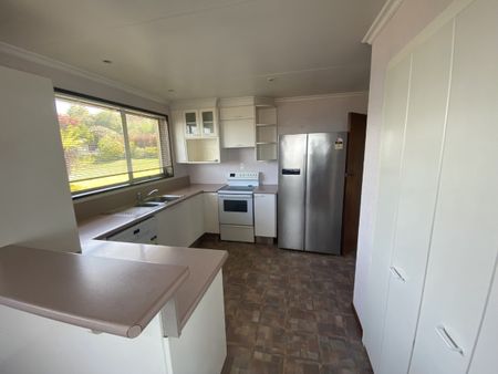 Sunny on Strode - Photo 5