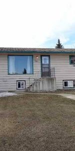 1 bdrm separate entrance lower for rent in Radisson Heights! - Photo 4