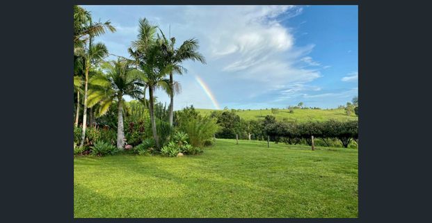 Charming and peaceful - Photo 1