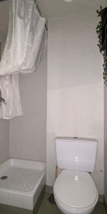 Location Appartement 1 pièce 13m² TOURS 37200 - Photo 3