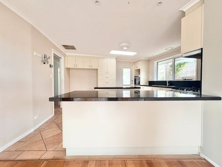 Comfortable Family Living in a Convenient Grovedale Location - Photo 5