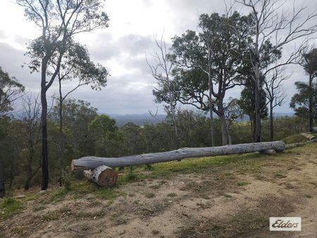 Charming Two-Bedroom Cabin with Stunning Mountain Views! - Photo 4