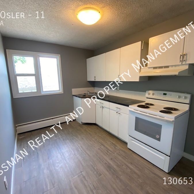 1 bed 1 bath APARTMENT located downtown Regina, SK - Photo 1