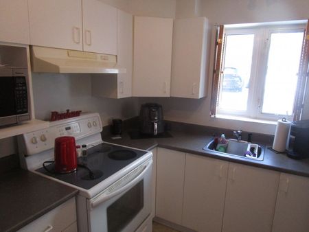 206-232 boul. de La Vérendrye Est - Photo 4