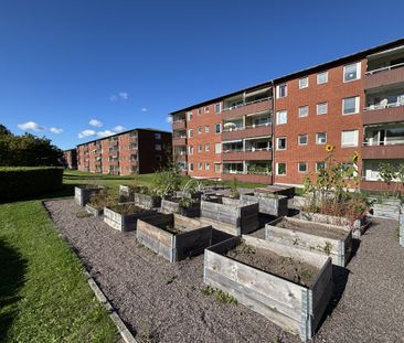 Våmmedalsvägen 142 - Foto 3