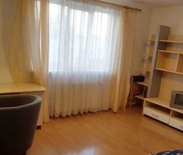 Apartament 1 camera, 32 mp, pet friendly, zona UMF - Fotografie 1