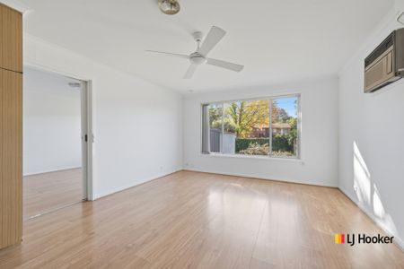 Spacious One Bedroom Home With Private Backyard. - Photo 2