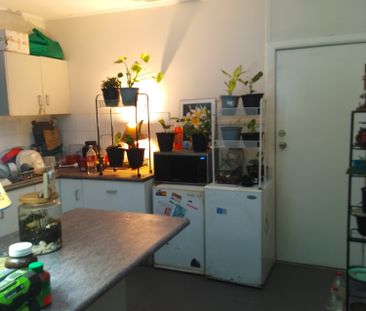 Mooney Mooney - Photo 2