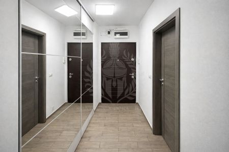 Inchiriere Garsoniera moderna, zona Vest - Penes Curcanul, - Photo 3